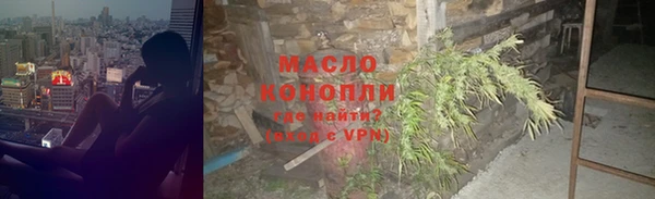 прущие грибы Тайга