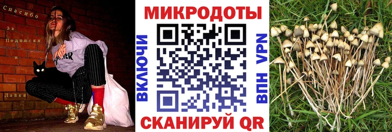 кракен зеркало  Гусев  Галлюциногенные грибы GOLDEN TEACHER 